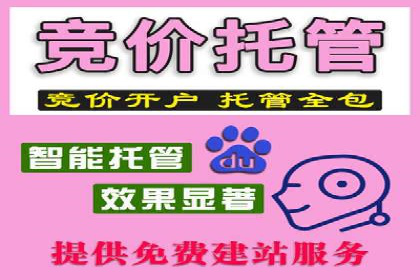 案例对比：不同行业竞价推广策略解析