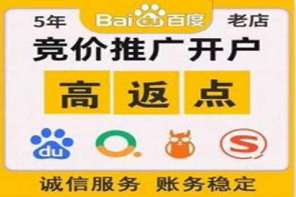 经典案例：SEM代运营服务公司的成功之路
